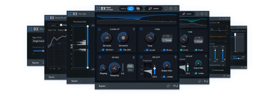 iZotope RX 11 Elements (Latest Version)